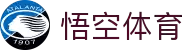 悟空体育-您的赛事合作伙伴 | 10年+团队保障赛事执行与直播流畅